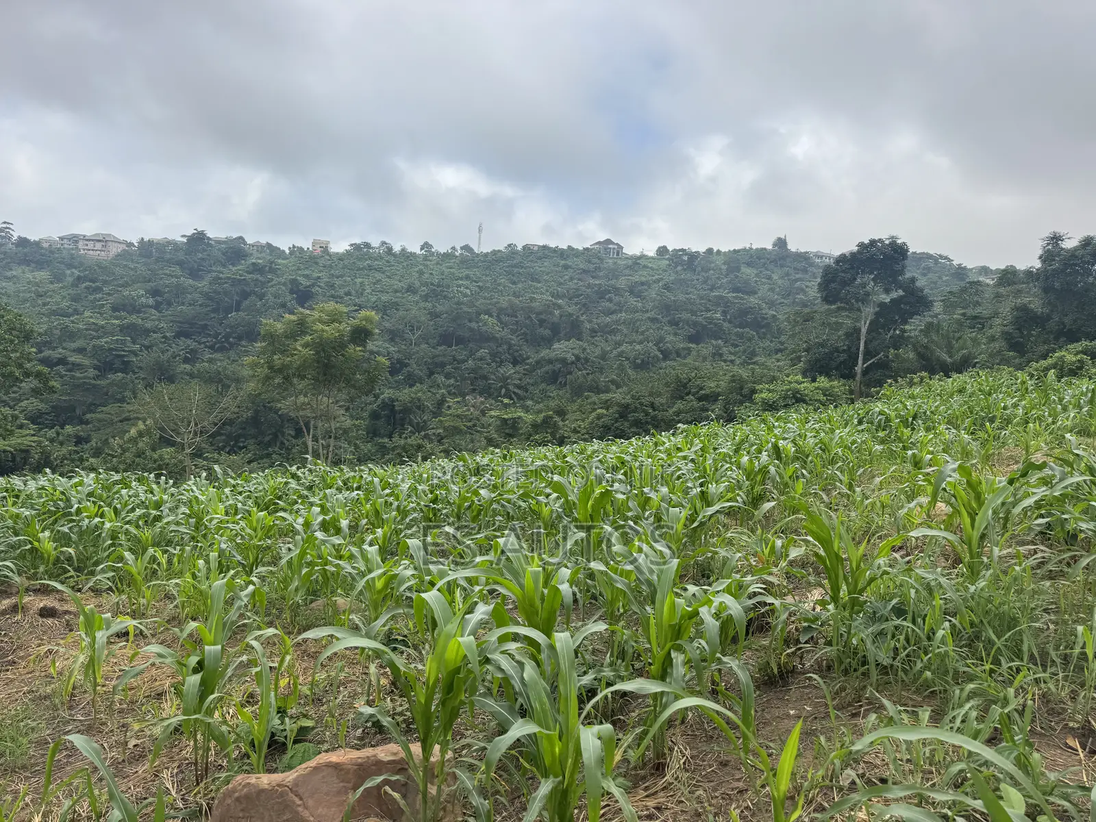 Lands for Sale in Mampong Municipal
