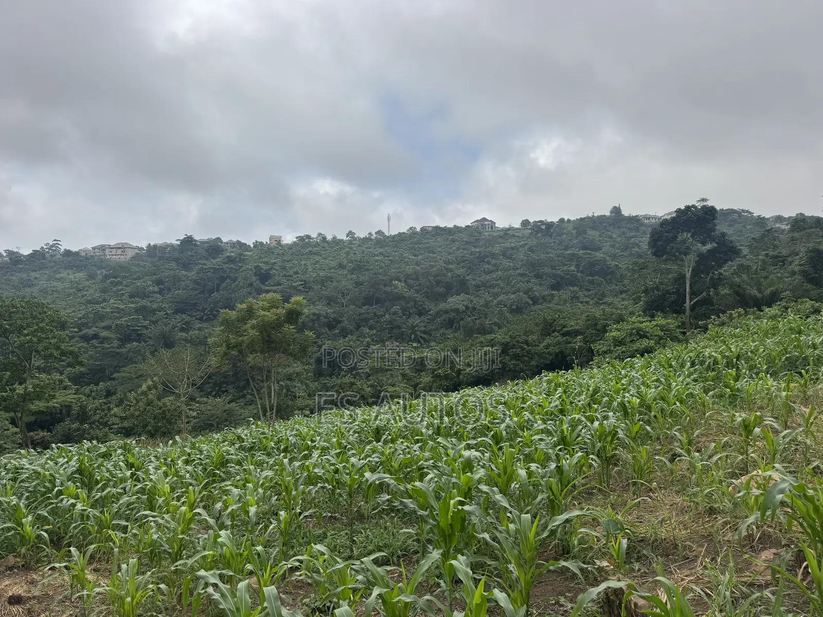 Lands for Sale in Mampong Municipal