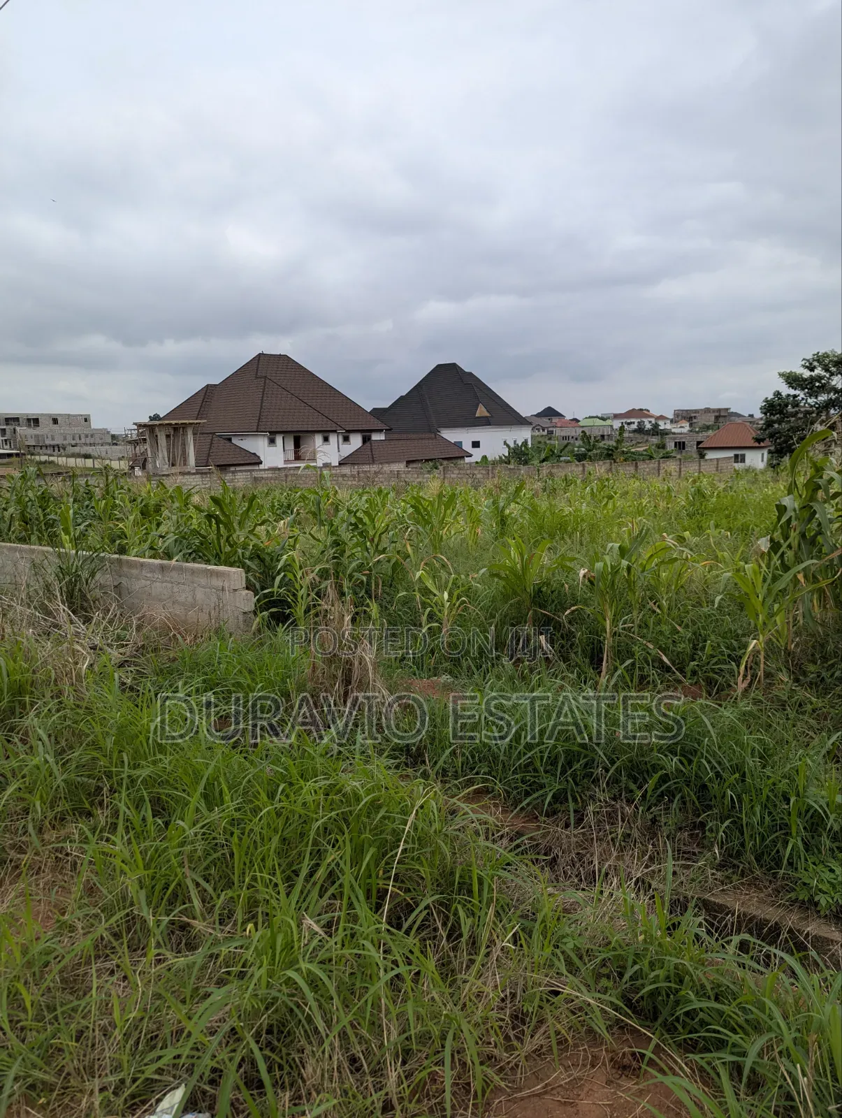 Prime Land in Agric Nzema Hilltop in Kumasi Metropolitan