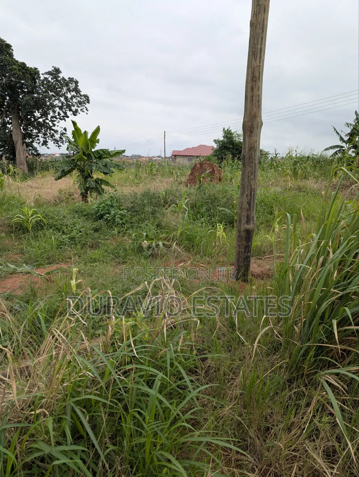 Prime Land in Agric Nzema Hilltop in Kumasi Metropolitan