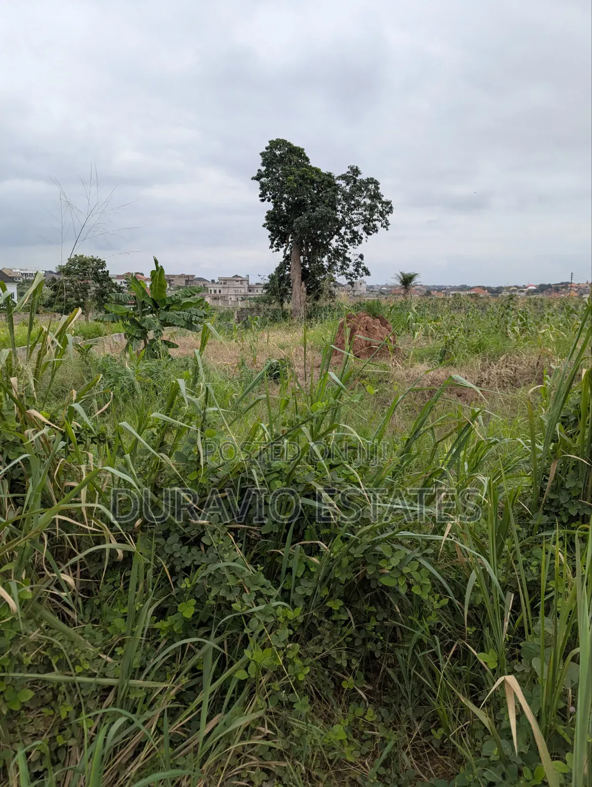 Prime Land in Agric Nzema Hilltop in Kumasi Metropolitan