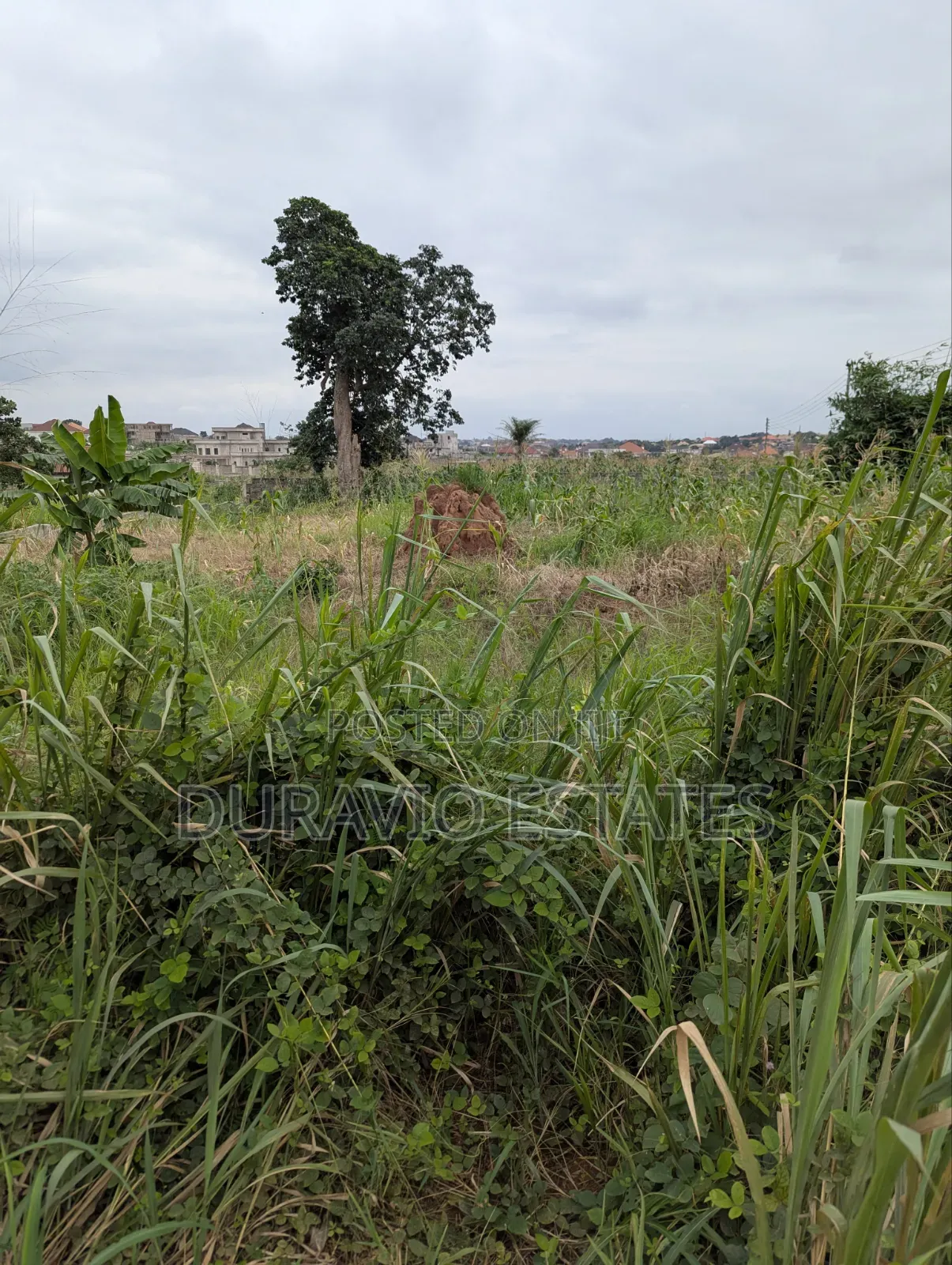 Prime Land in Agric Nzema Hilltop in Kumasi Metropolitan