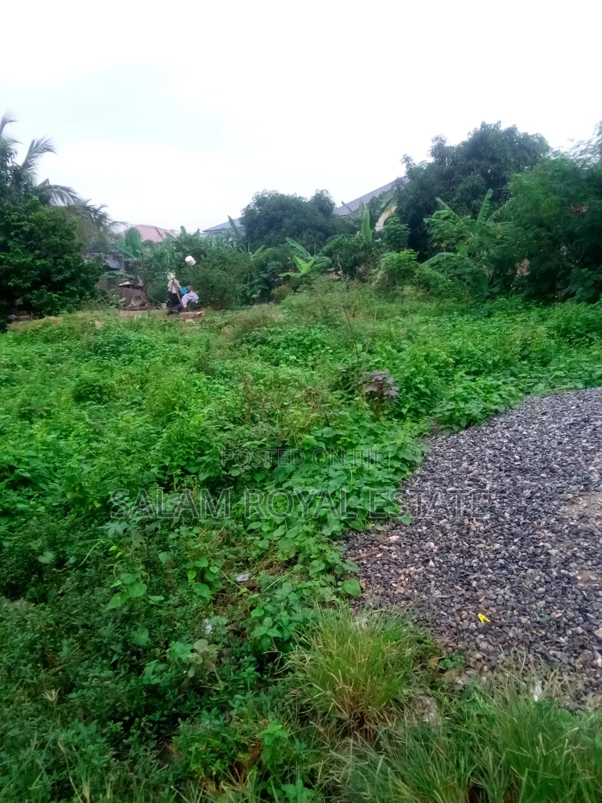 One Plot of Land at Pokuase in Pokuase