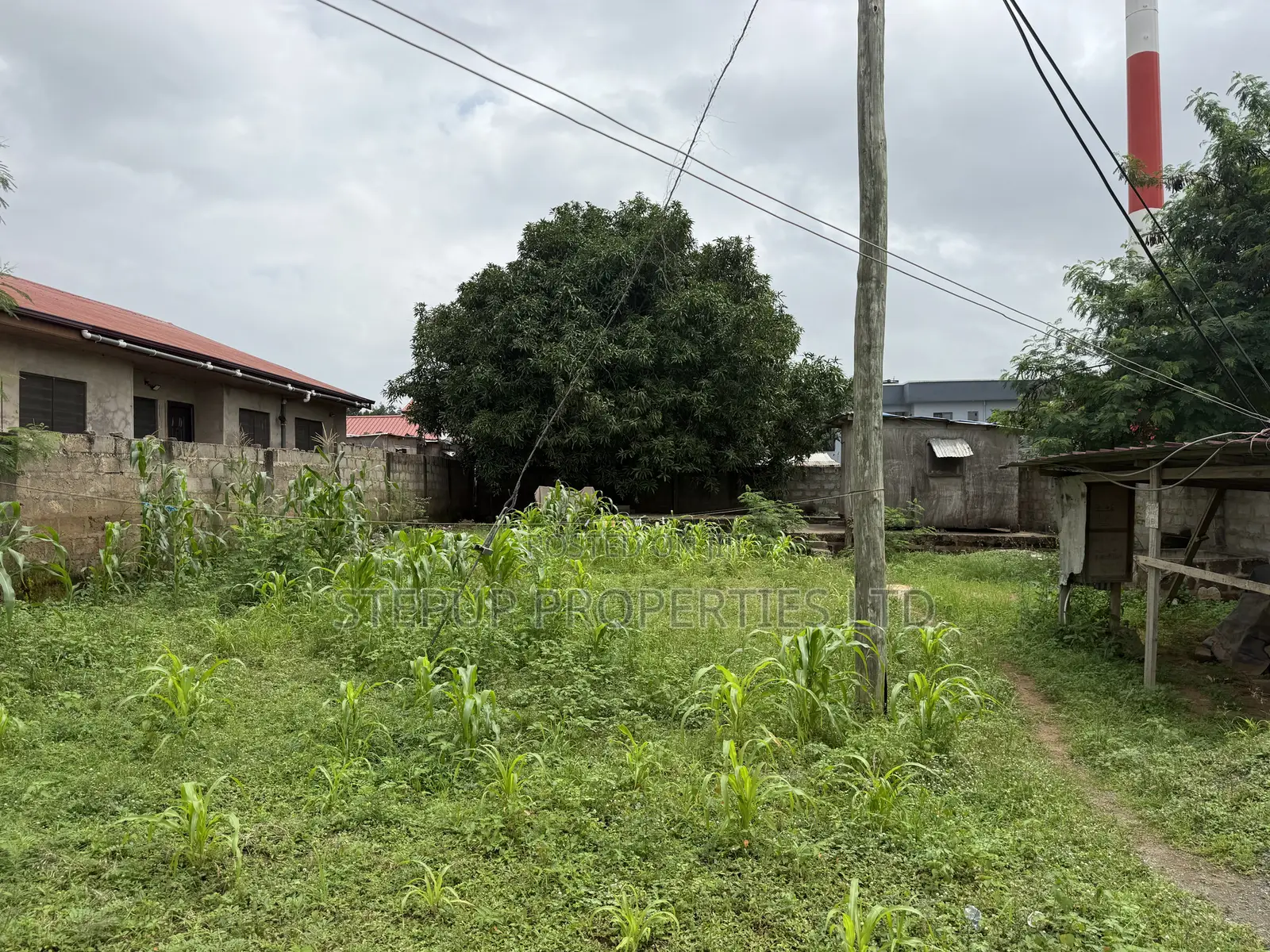 55/100sqft Plot Land for Sale at Adenta in Adenta