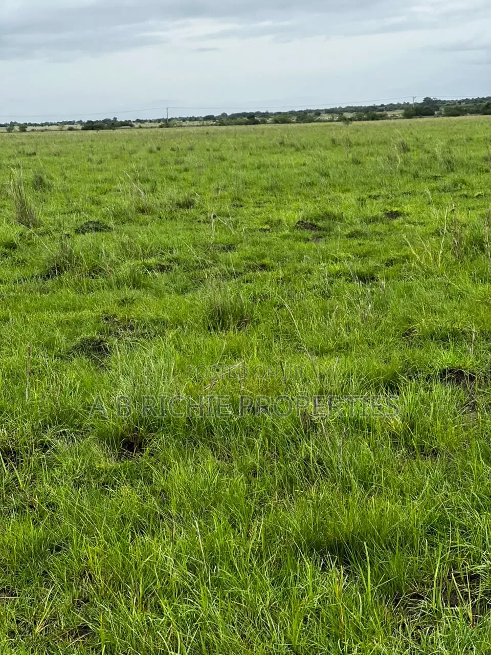 A Plot of Land for Sale at Dawa After Central University in Prampram
