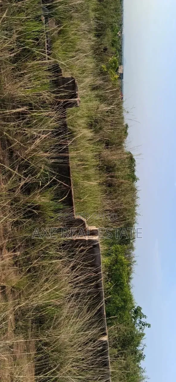Free Demarcated Half Plot - Prampram in Prampram