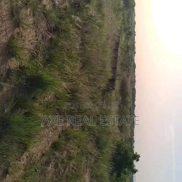 Free Demarcated Half Plot - Prampram in Prampram