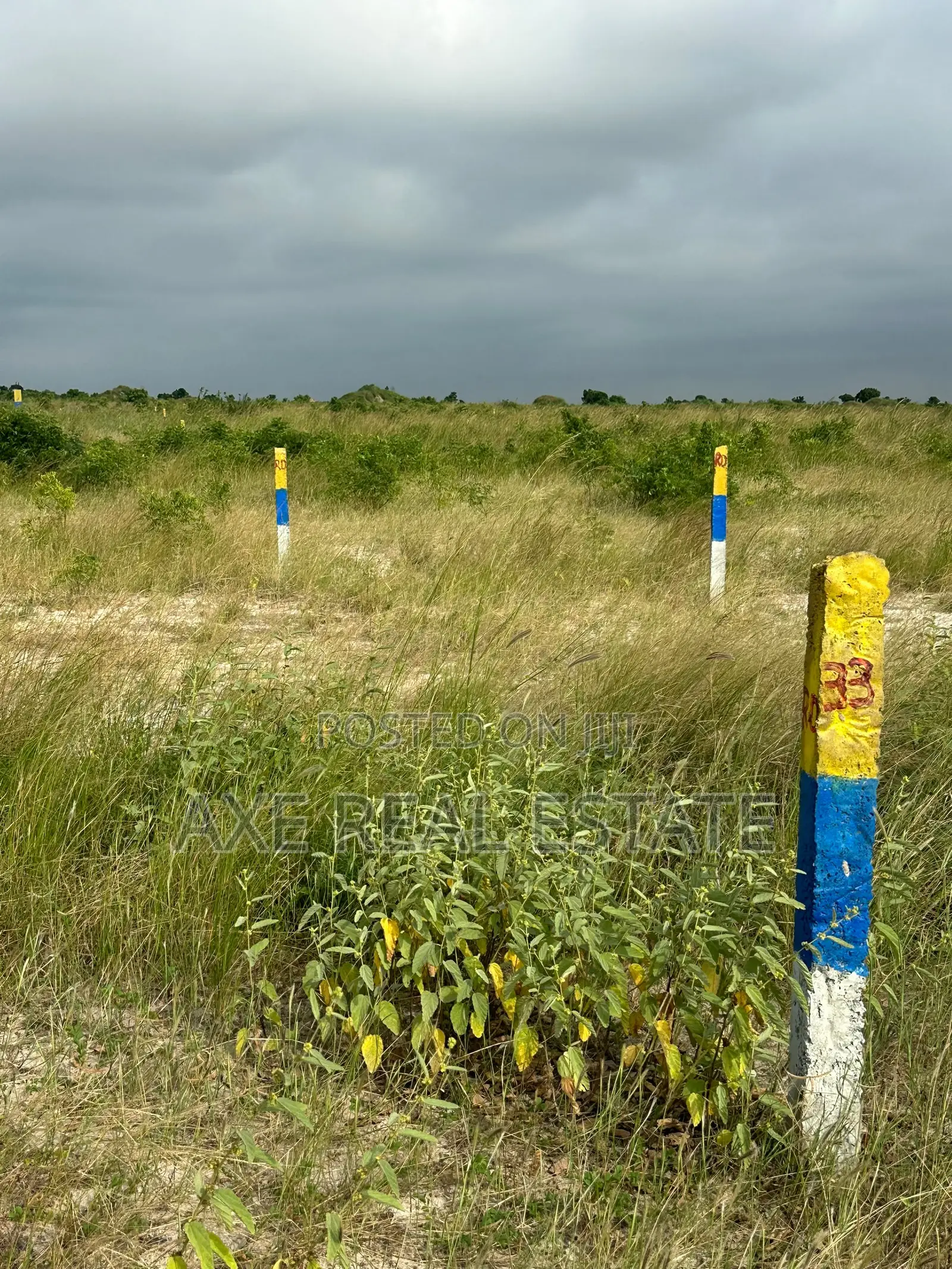 New Discounts on Registered Plots in New Ningo