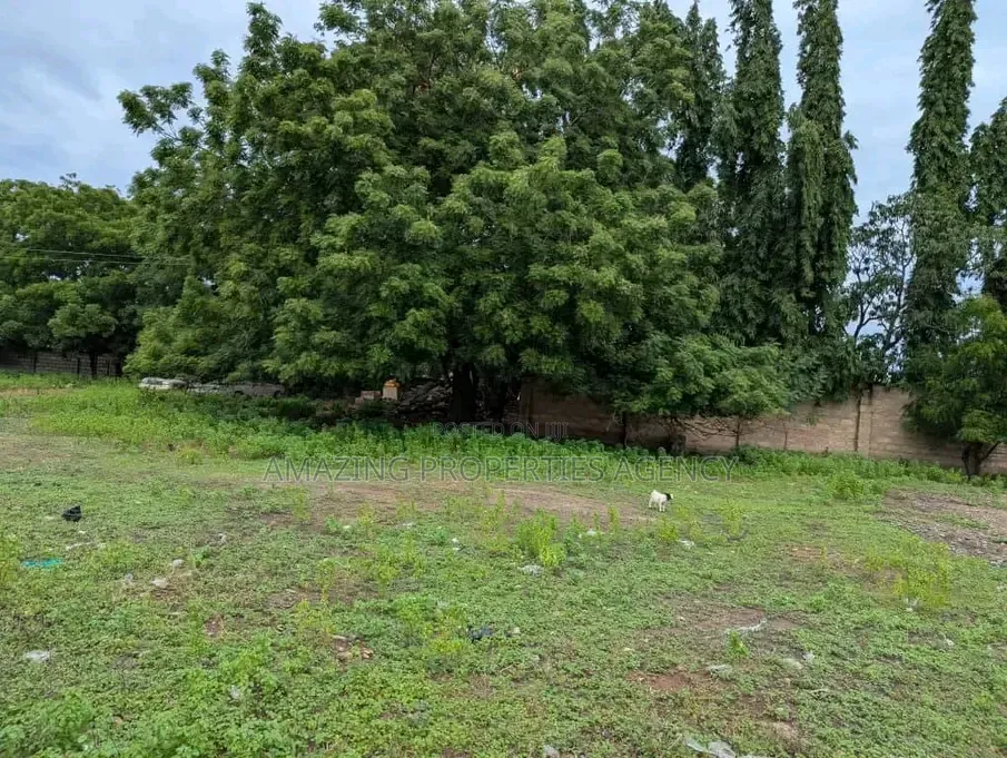 4.23 Acres of Prime, Main-Roadside, Spintex Road in Manet Junction
