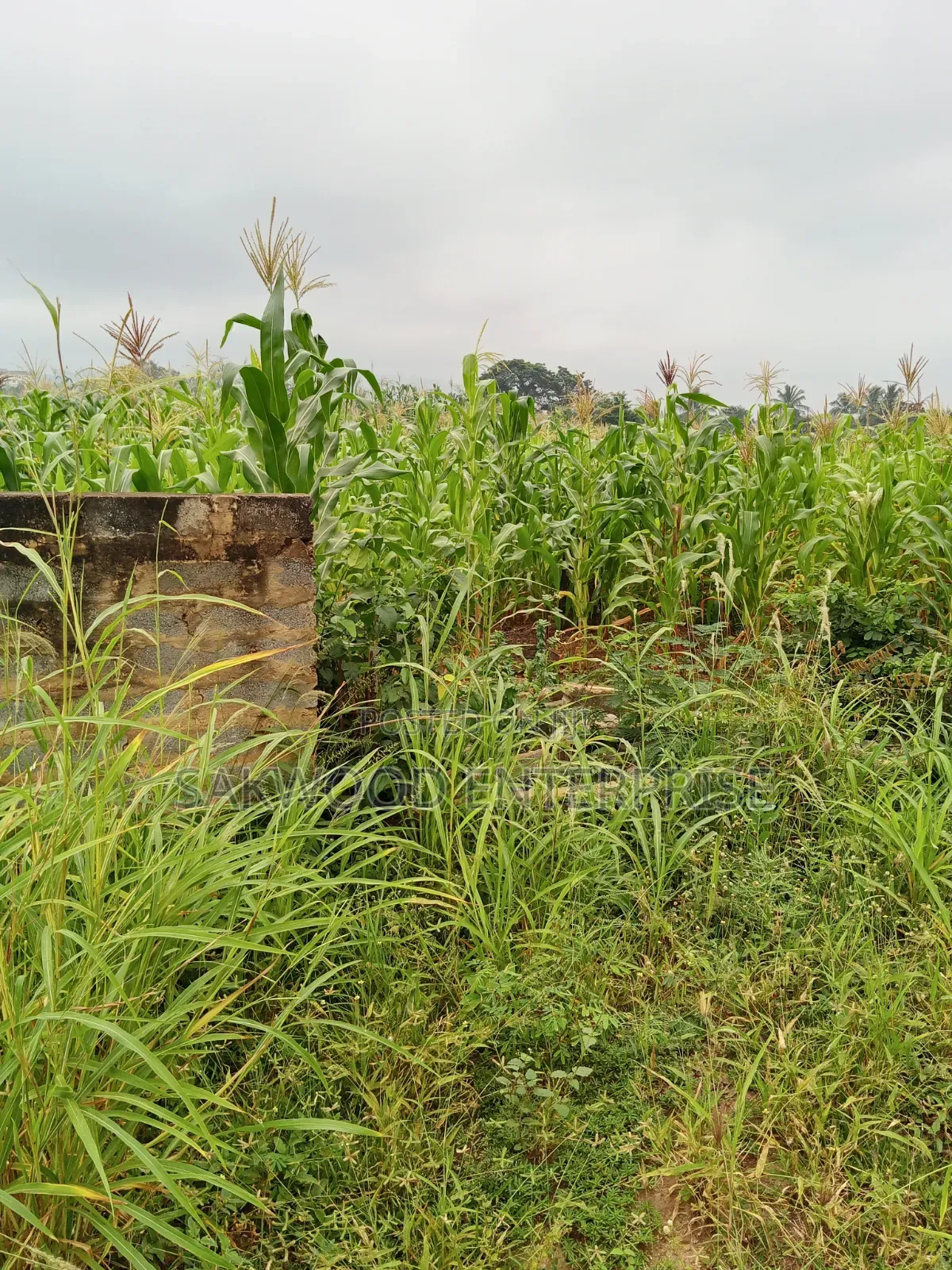 Quarter Plot of Land at Dodowa in Main Station