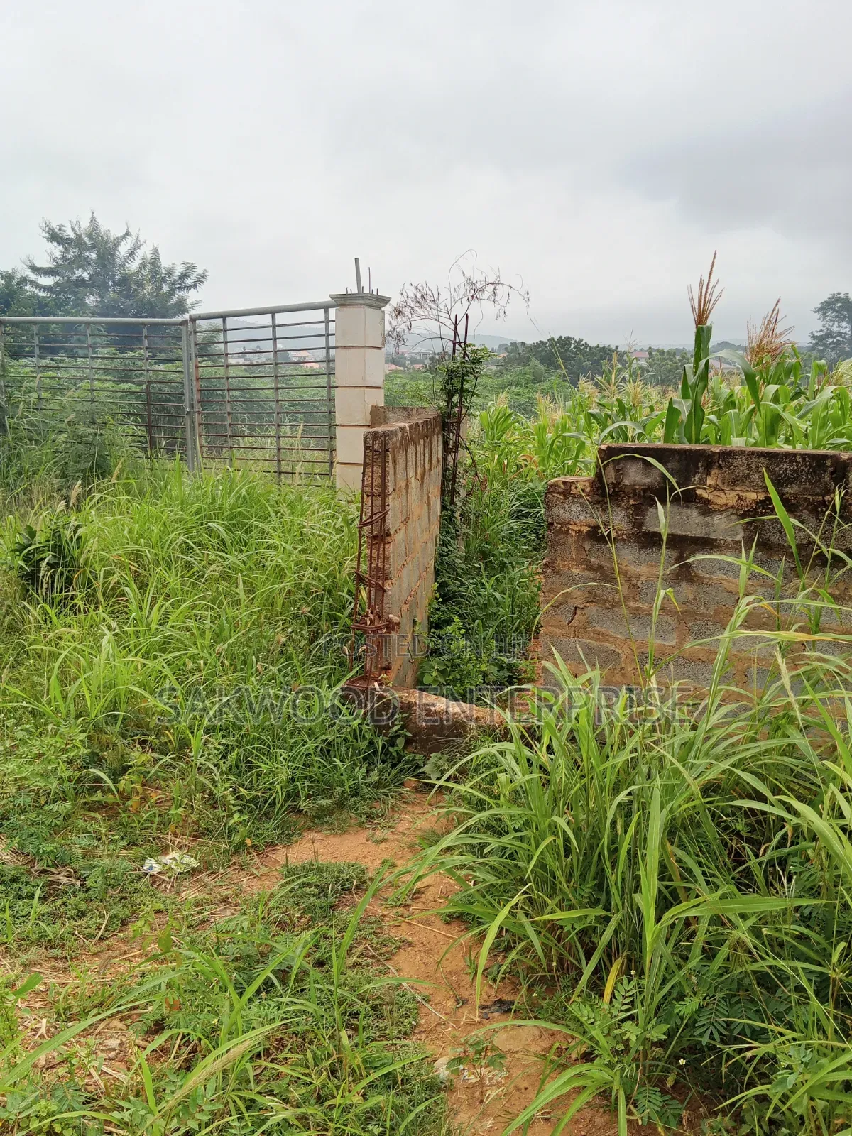 Quarter Plot of Land at Dodowa in Main Station