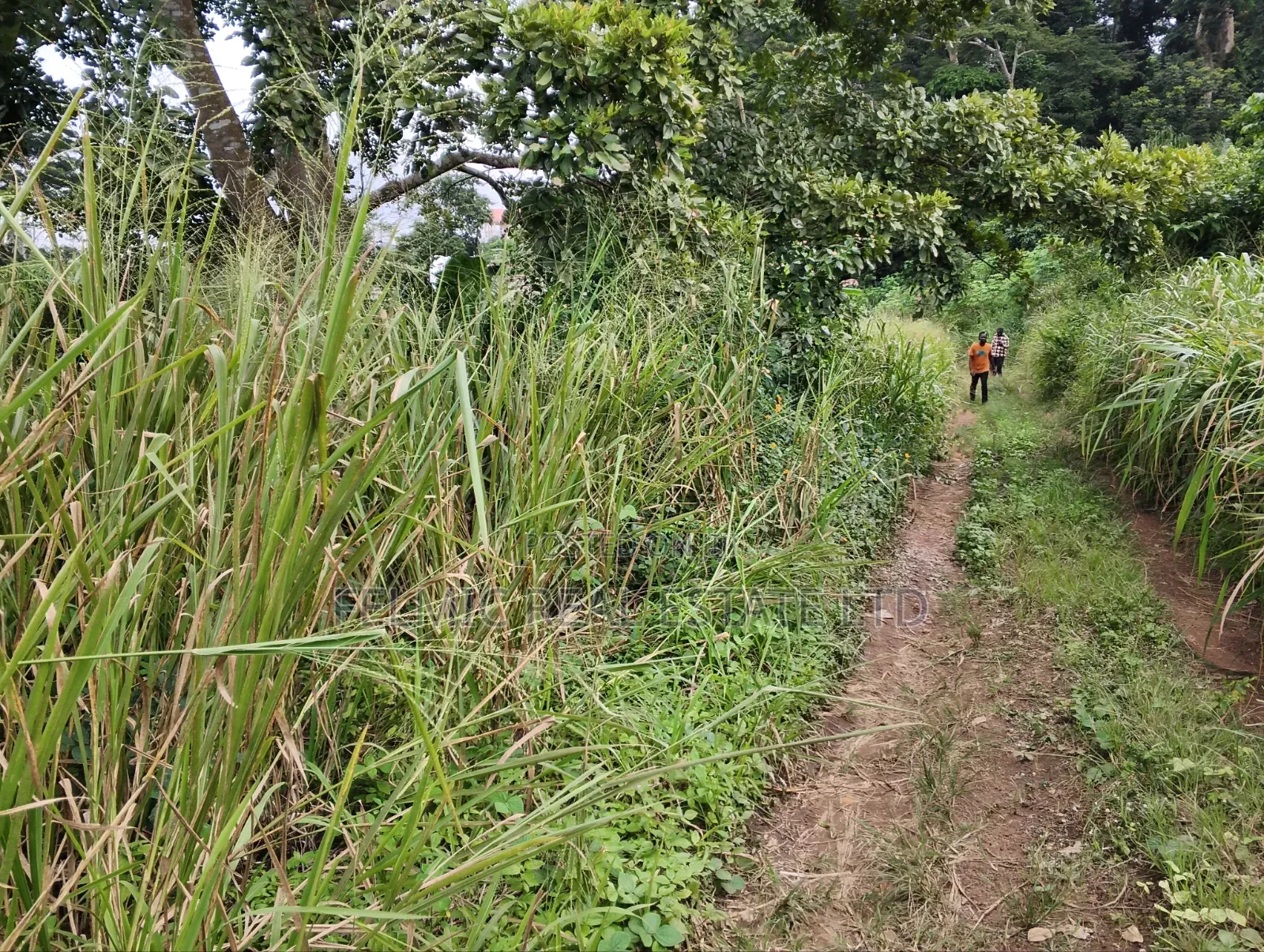3 Plots of Land at Aburi Tutu for Sale in Aburi