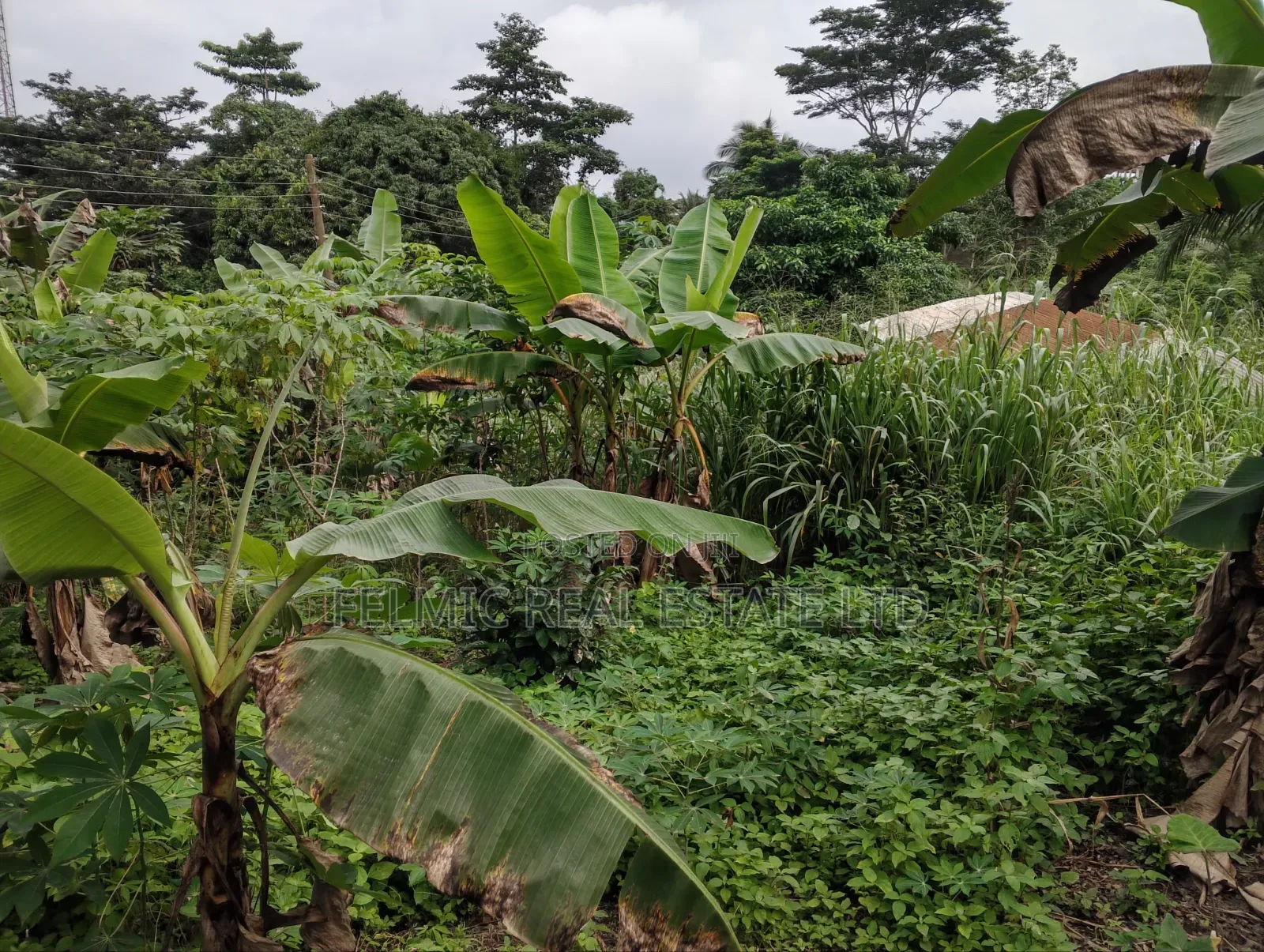 3 Plots of Land at Aburi Tutu for Sale in Aburi