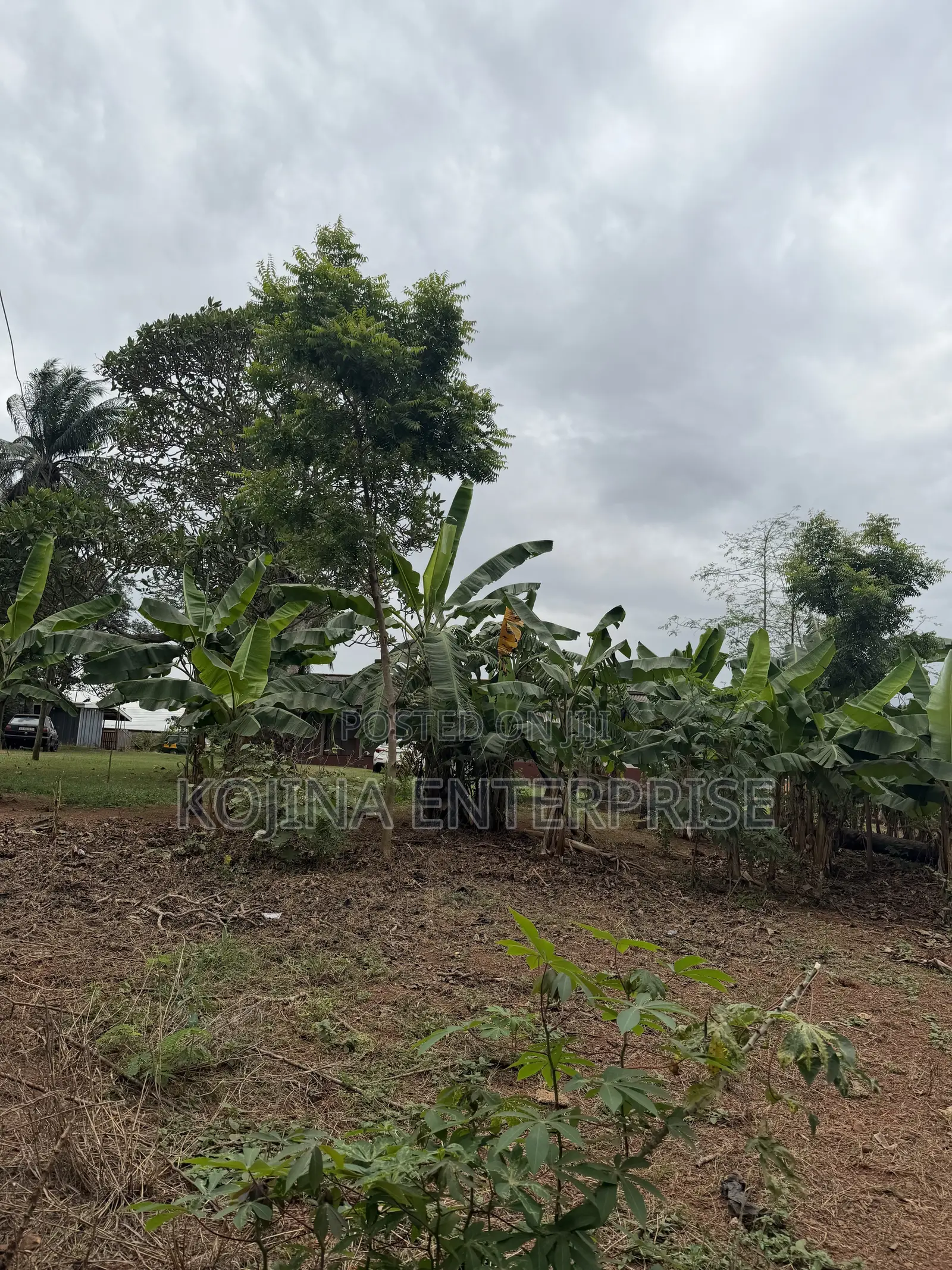 Prime Residential Land for Sale – Ridge Danyame, Kumasi in Kumasi Metropolitan
