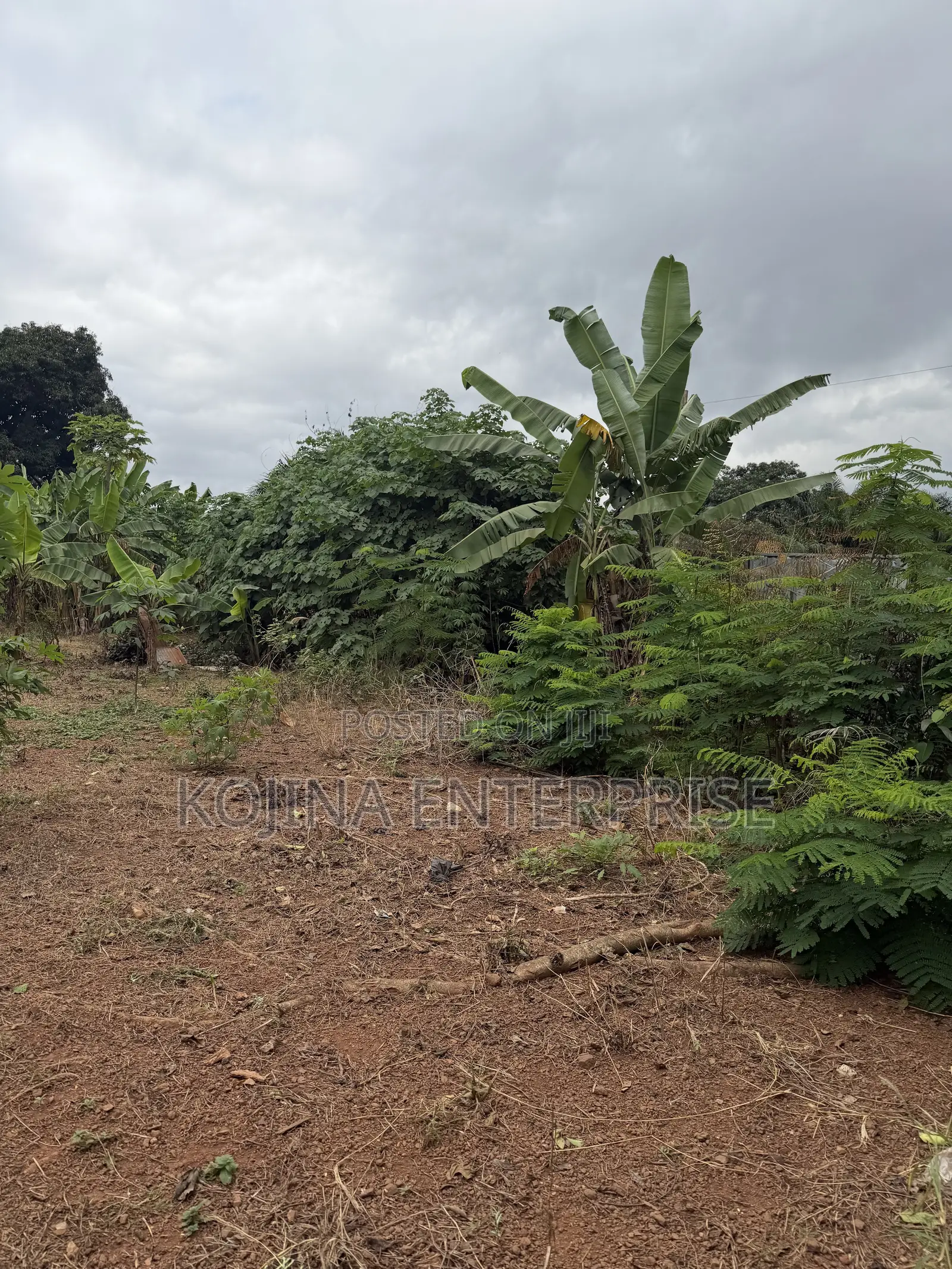 Prime Residential Land for Sale – Ridge Danyame, Kumasi in Kumasi Metropolitan