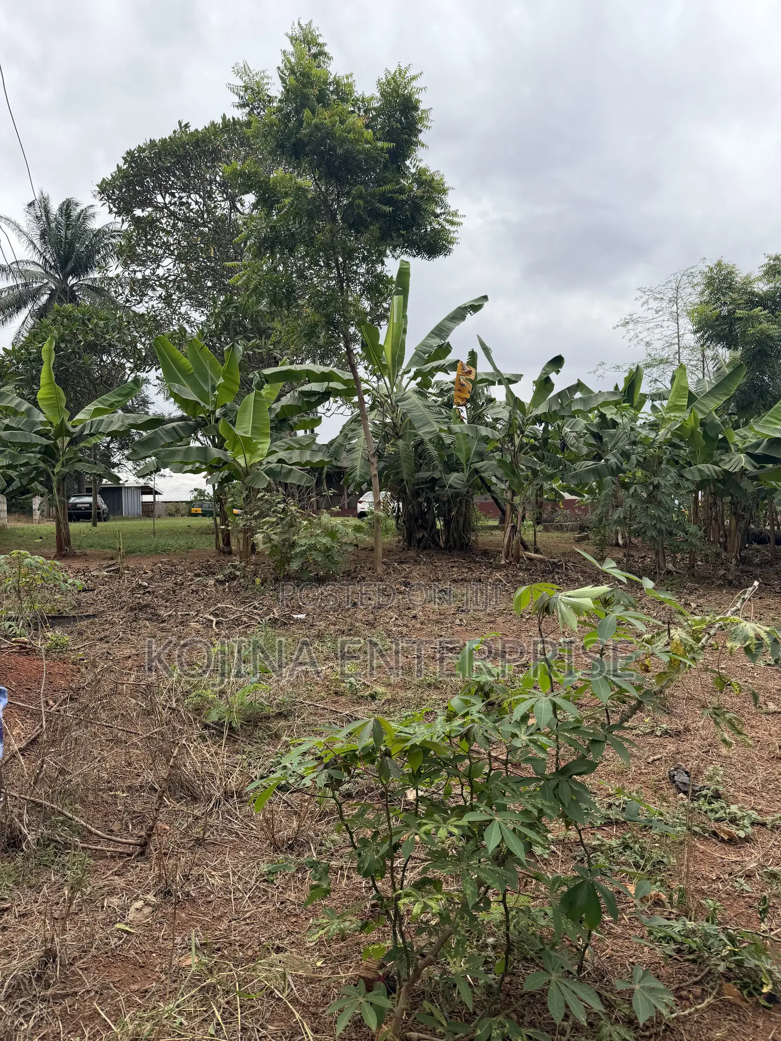 Prime Residential Land for Sale – Ridge Danyame, Kumasi in Kumasi Metropolitan