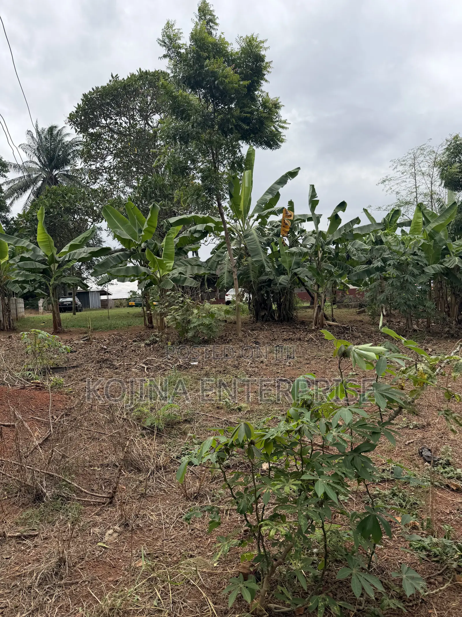 Prime Residential Land for Sale – Ridge Danyame, Kumasi in Kumasi Metropolitan