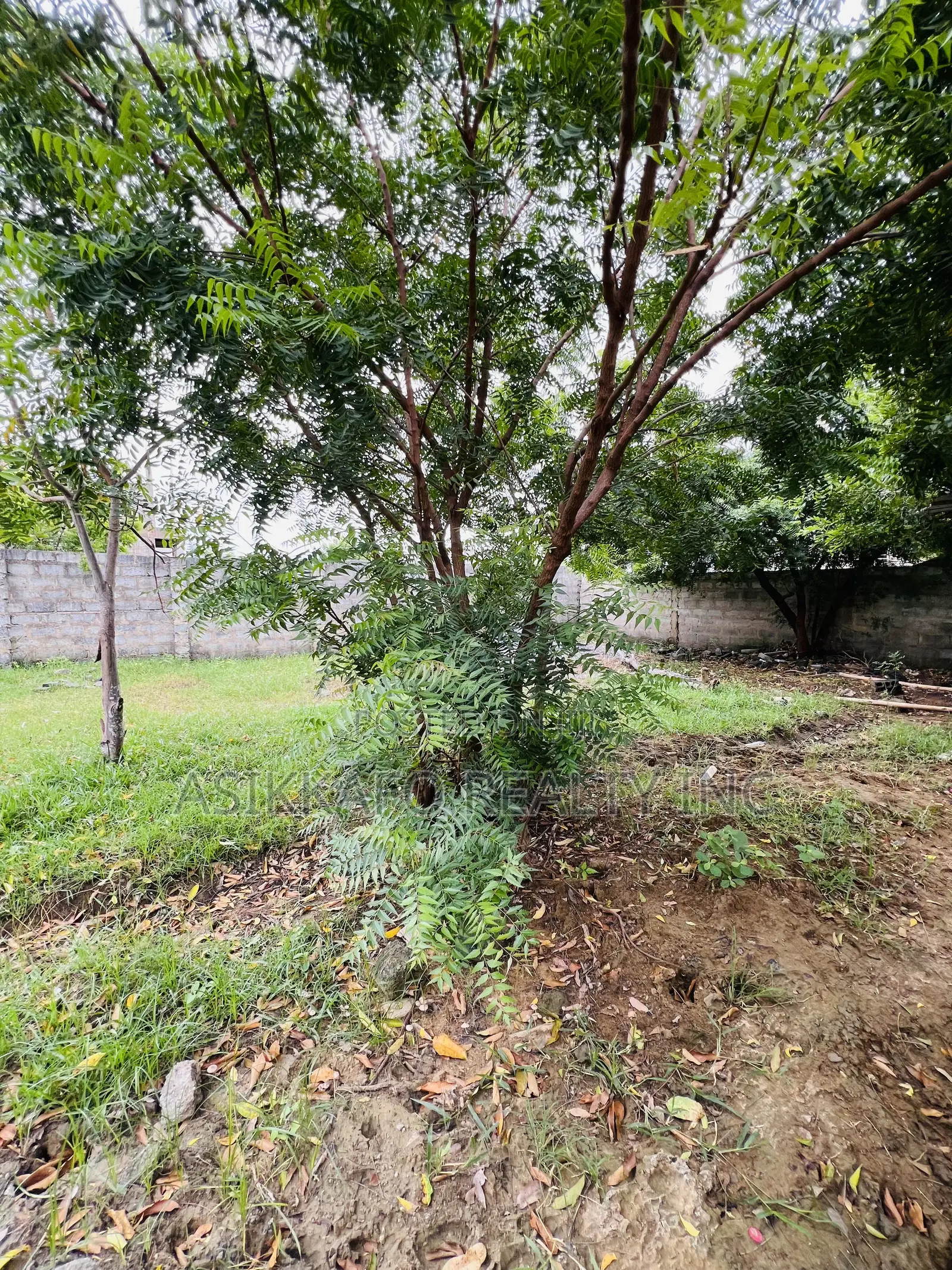 Half Plot of Land Selling in Klagon, Tema West Prime in Tema Metropolitan
