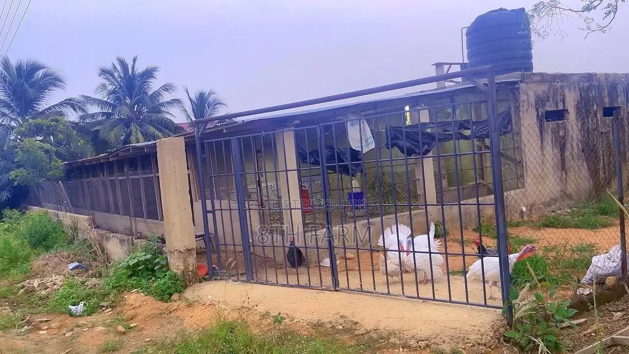 Poultry Farm Pens Available for Rent in Budumburam