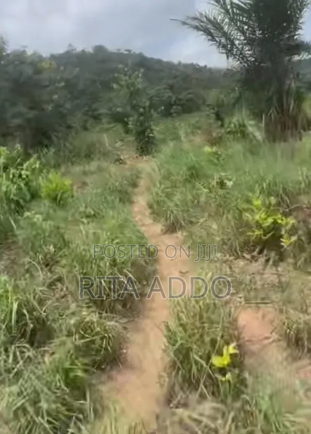 Land for Sale in Akuapim North