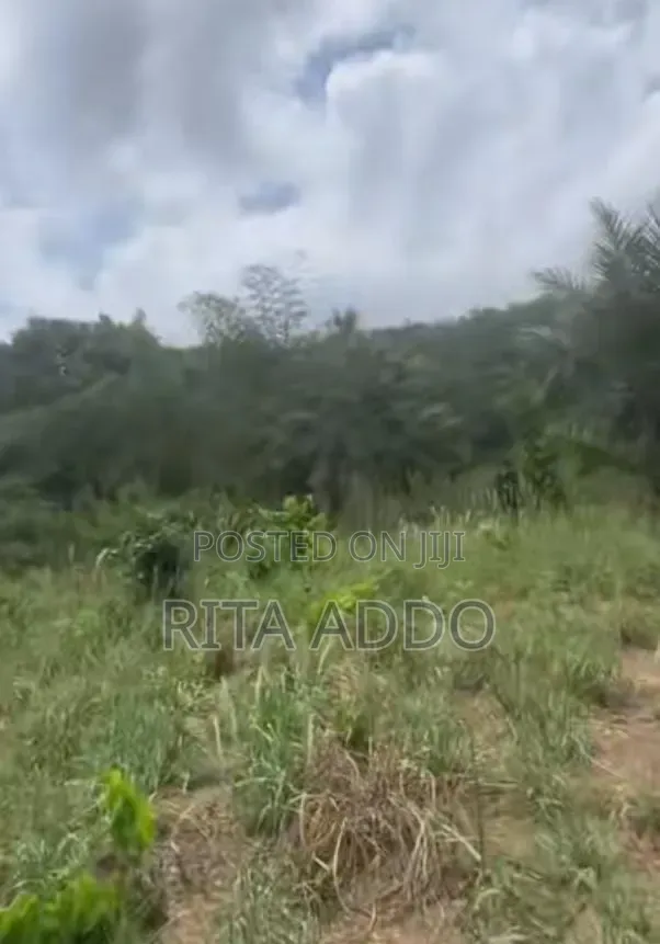 Land for Sale in Akuapim North