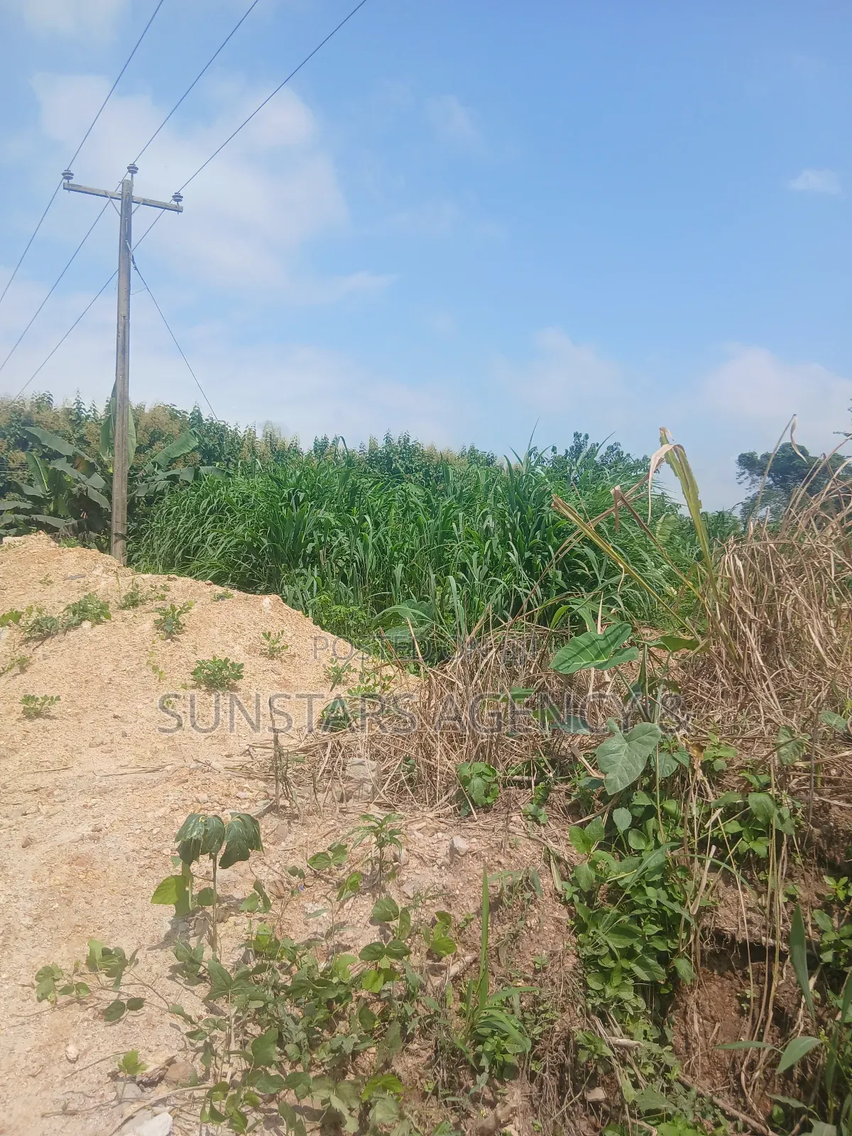 Roadside Land in Hohoe in Hohoe Municipal