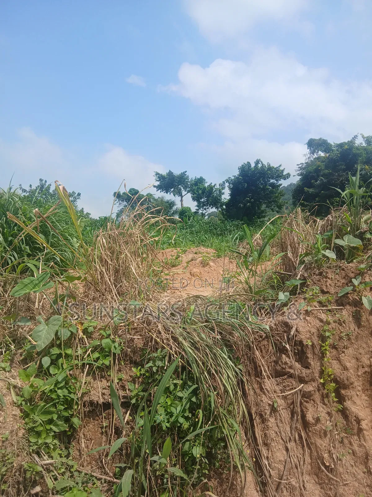 Roadside Land in Hohoe in Hohoe Municipal