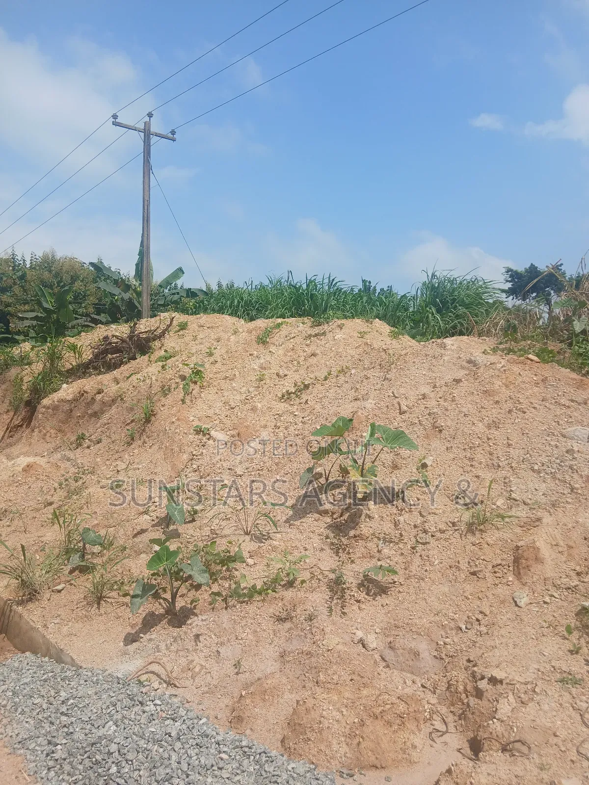 Roadside Land in Hohoe in Hohoe Municipal