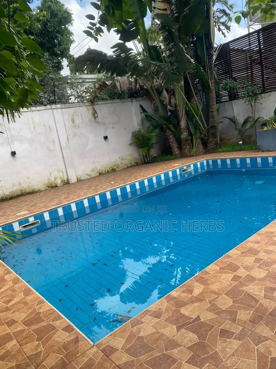 4bdrm House in Prime Estate Deals, Airport Residential Area for rent in Airport Residential Area