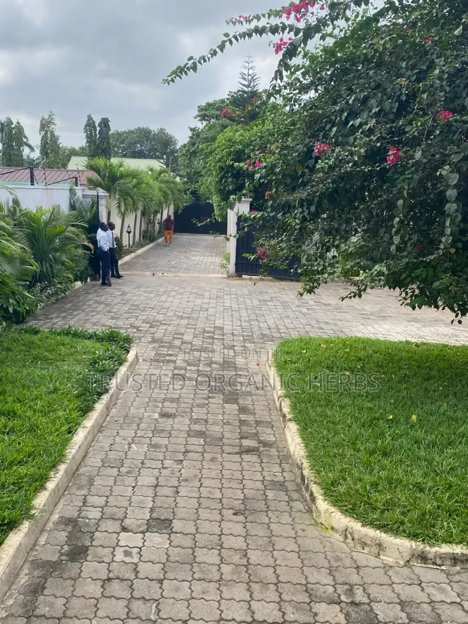 4bdrm House in Prime Estate Deals, Airport Residential Area for rent in Airport Residential Area