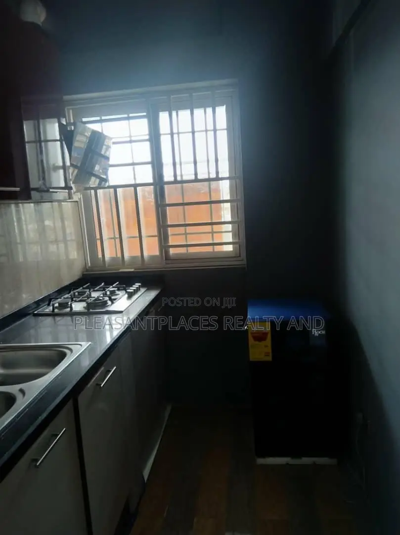 Furnished 1bdrm Apartment in Pleasantplaces And, Dzorwulu for rent in Dzorwulu