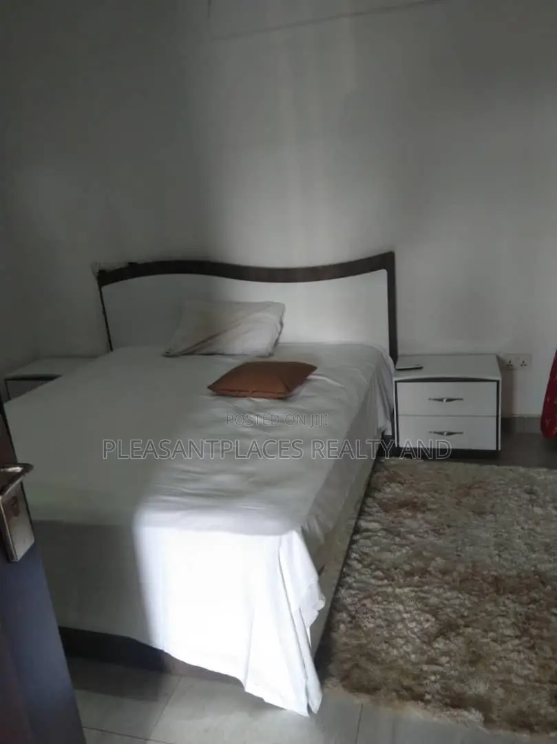 Furnished 1bdrm Apartment in Pleasantplaces And, Dzorwulu for rent in Dzorwulu