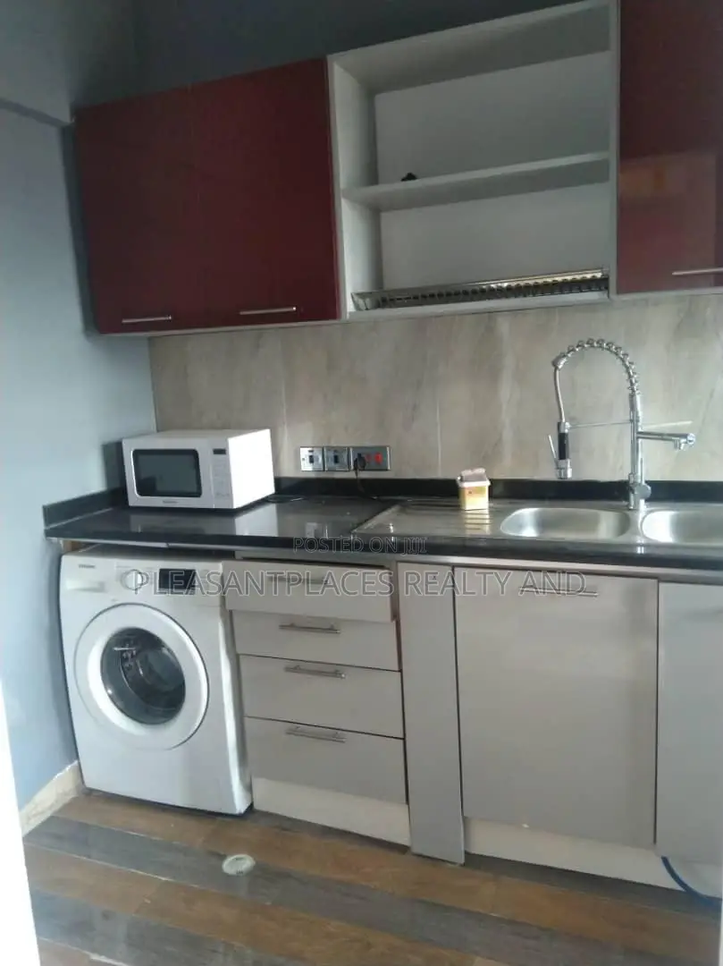 Furnished 1bdrm Apartment in Pleasantplaces And, Dzorwulu for rent in Dzorwulu