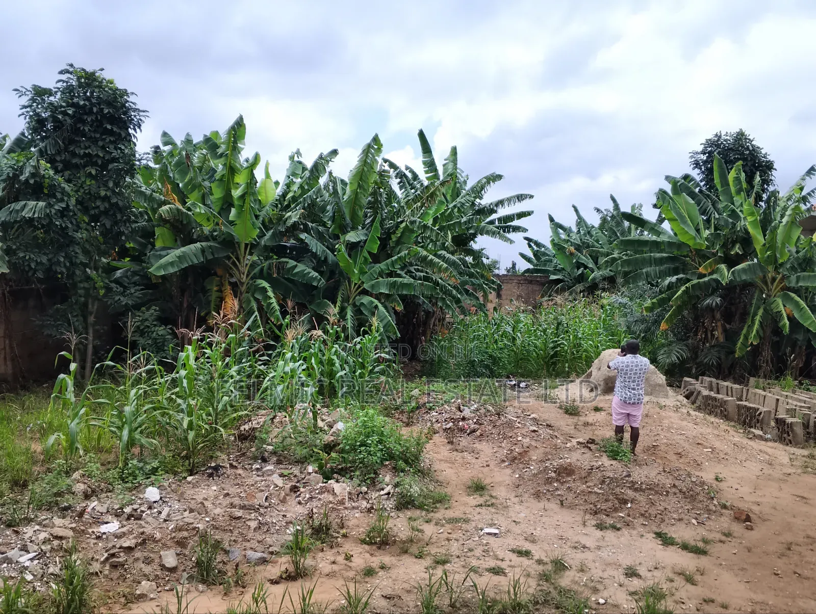 1 Half Plots at Ofankor Asofan for Sale in Ofankor