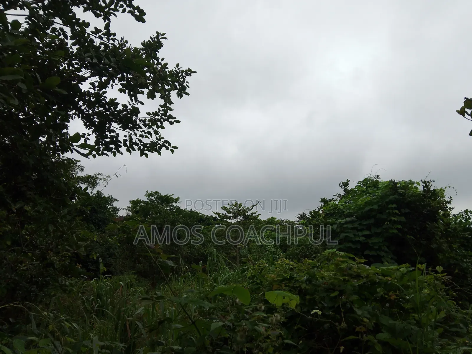 80 Acres of Farmland at Chiraa Ayiaem/Ghc15k Per Acre in Sunyani Municipal