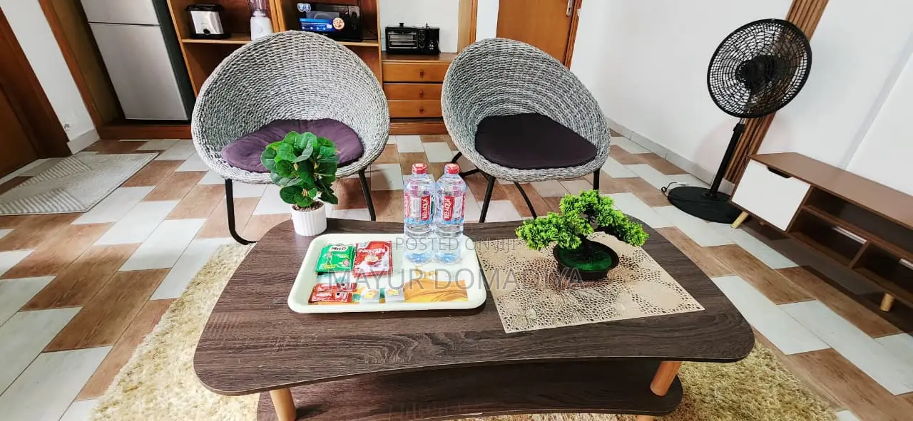 Cozy 1 BR Furnished Apartment With Private Bath in A&C Mall Area