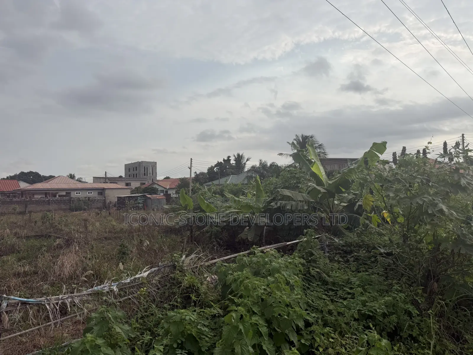 Roadside Land for Sale at Amrahia in Amrahia