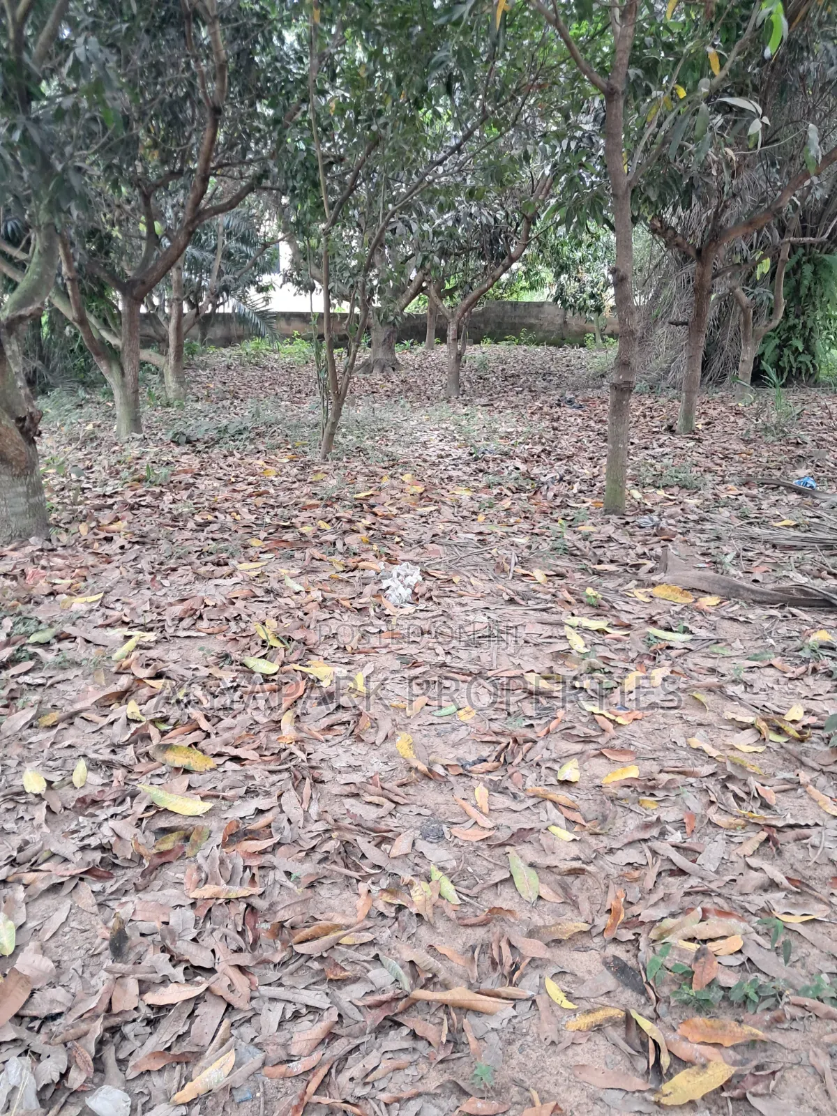 One and Half Plot of Title Land for Sale in Amasaman