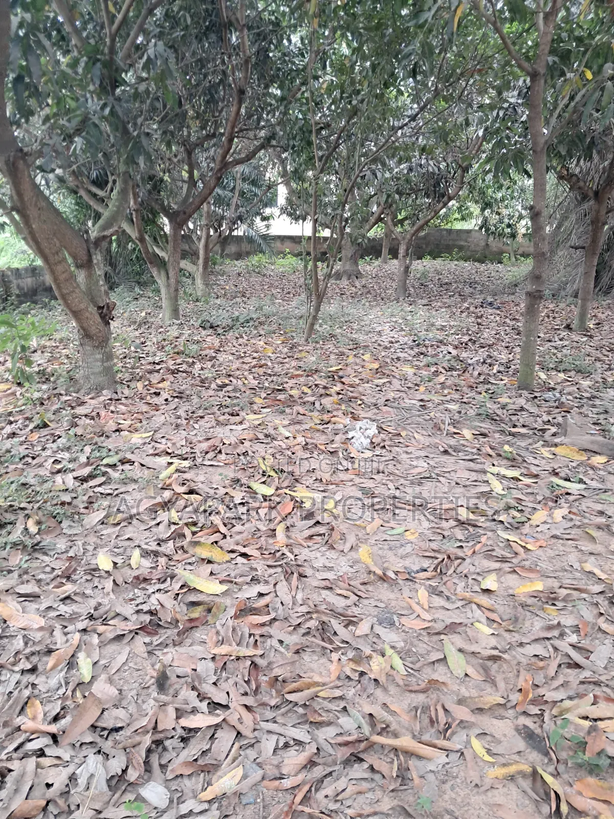 One and Half Plot of Title Land for Sale in Amasaman