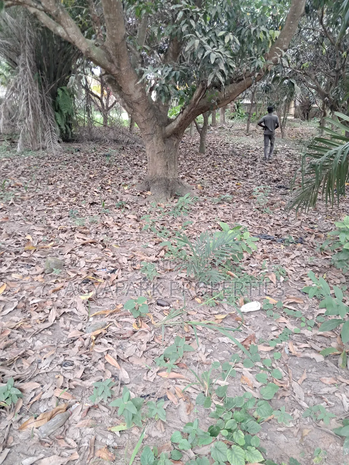 One and Half Plot of Title Land for Sale in Amasaman