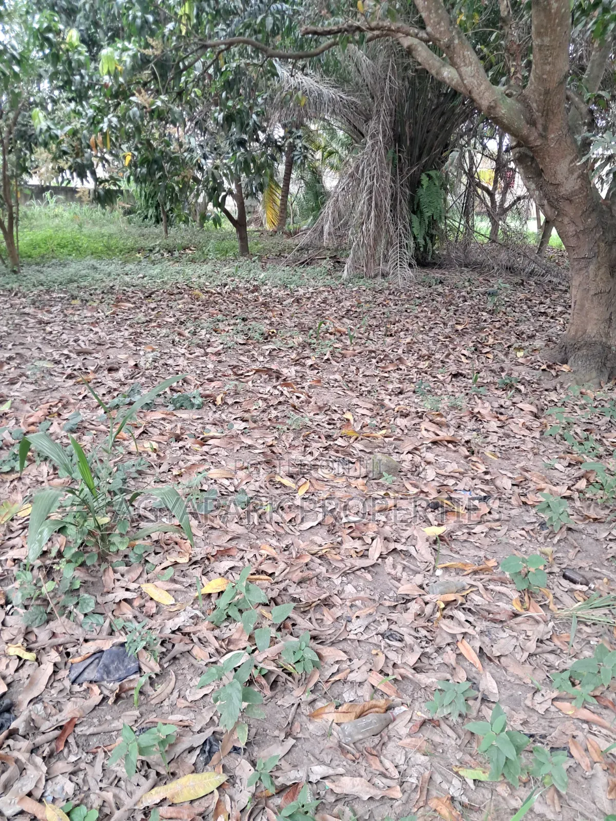 One and Half Plot of Title Land for Sale in Amasaman