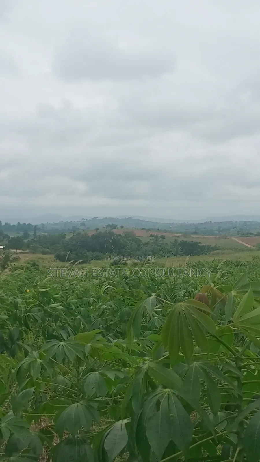 Estate Company Land for Sale at Amasaman Obom ASHIFLA in Ga South Municipal