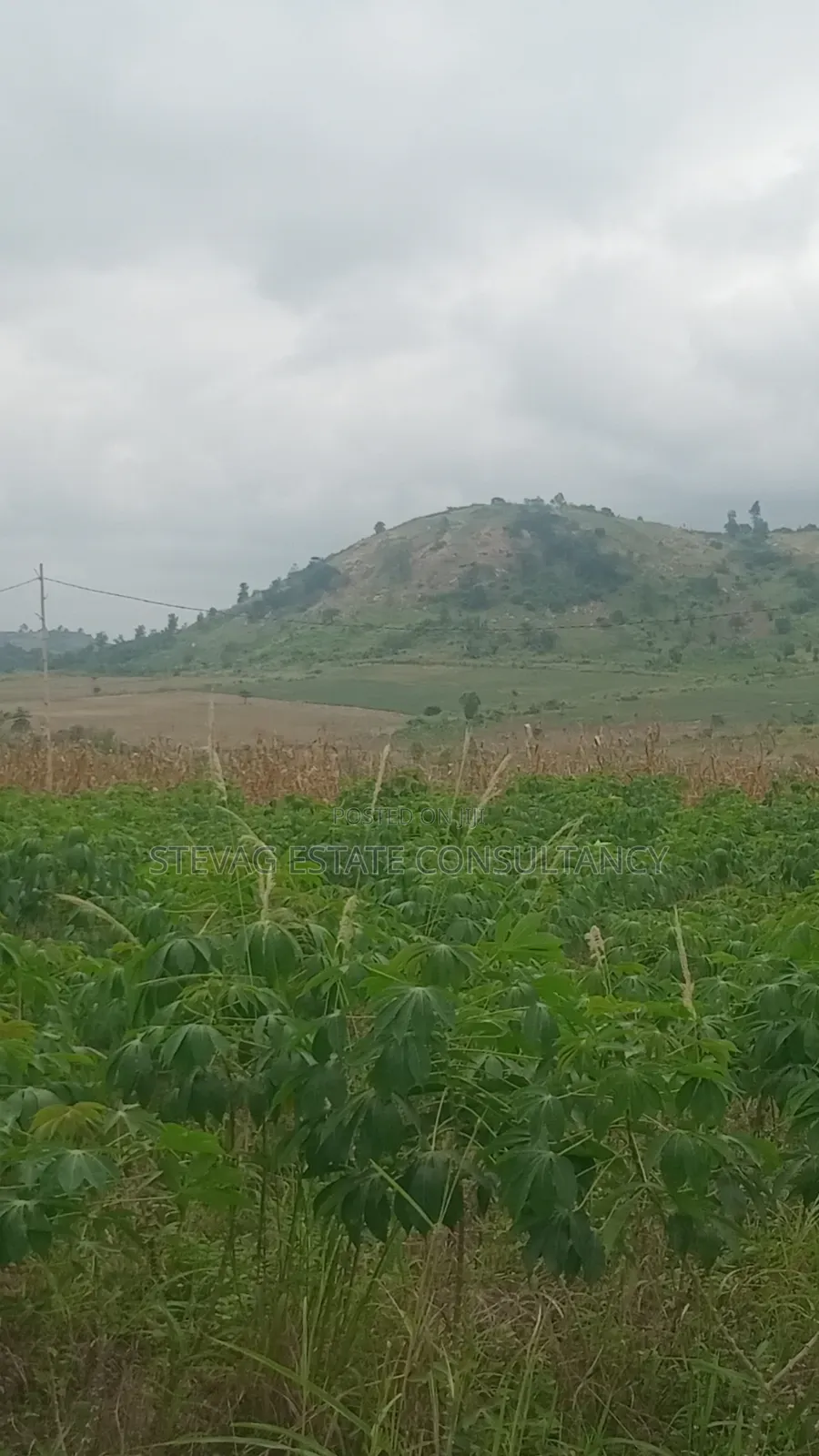 Estate Company Land for Sale at Amasaman Obom ASHIFLA in Ga South Municipal