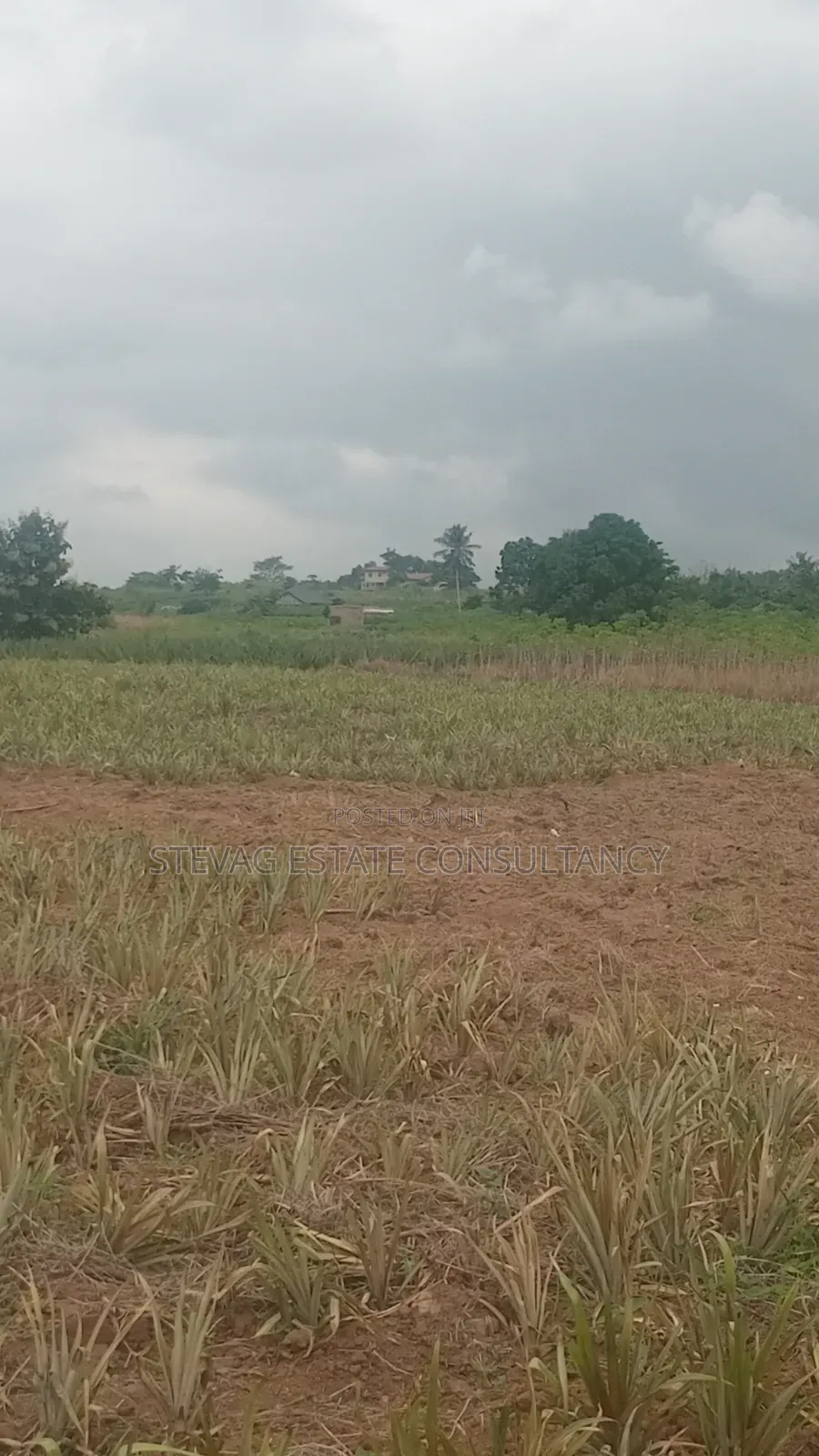 Estate Company Land for Sale at Amasaman Obom ASHIFLA in Ga South Municipal