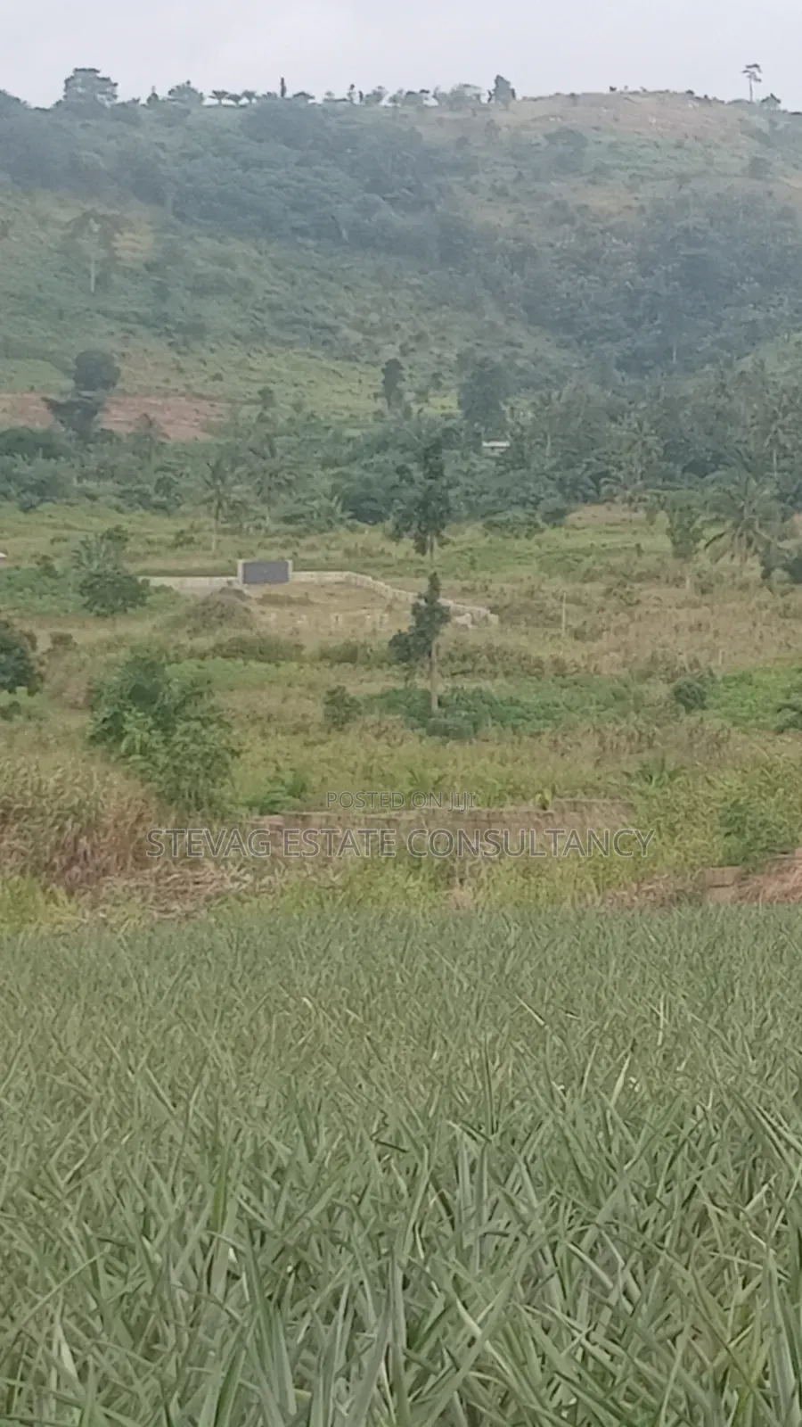 Alpha Properties Estate Land for Sale at Amasaman ASHIFLA in Ga South Municipal