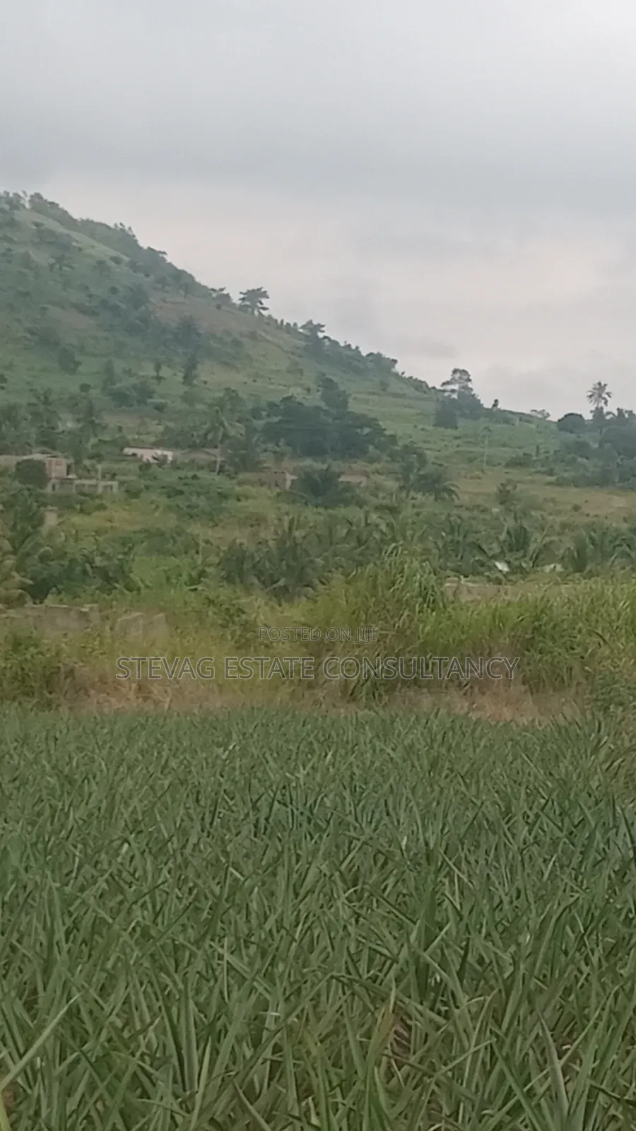 Alpha Properties Estate Land for Sale at Amasaman ASHIFLA in Ga South Municipal