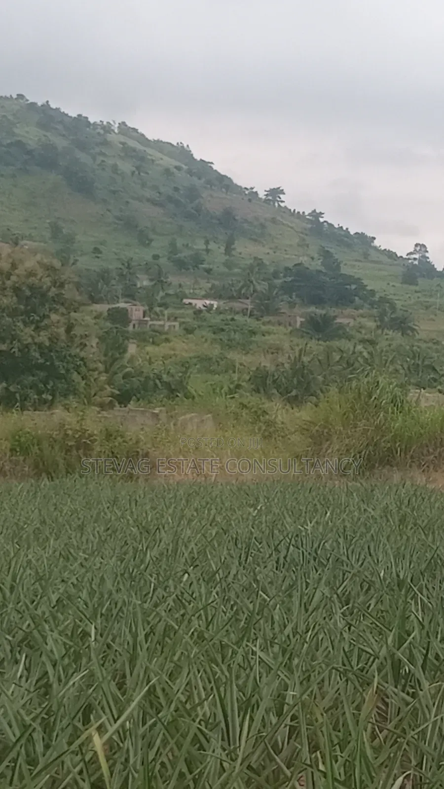 Alpha Properties Estate Land for Sale at Amasaman ASHIFLA in Ga South Municipal