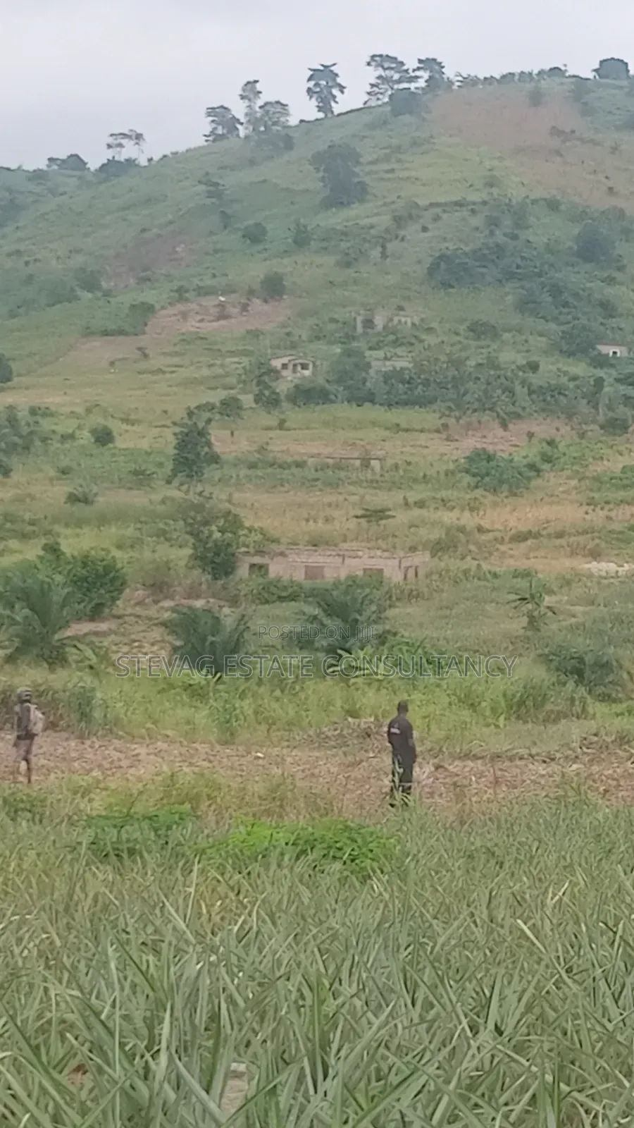 Alpha Properties Estate Land for Sale at Amasaman ASHIFLA in Ga South Municipal