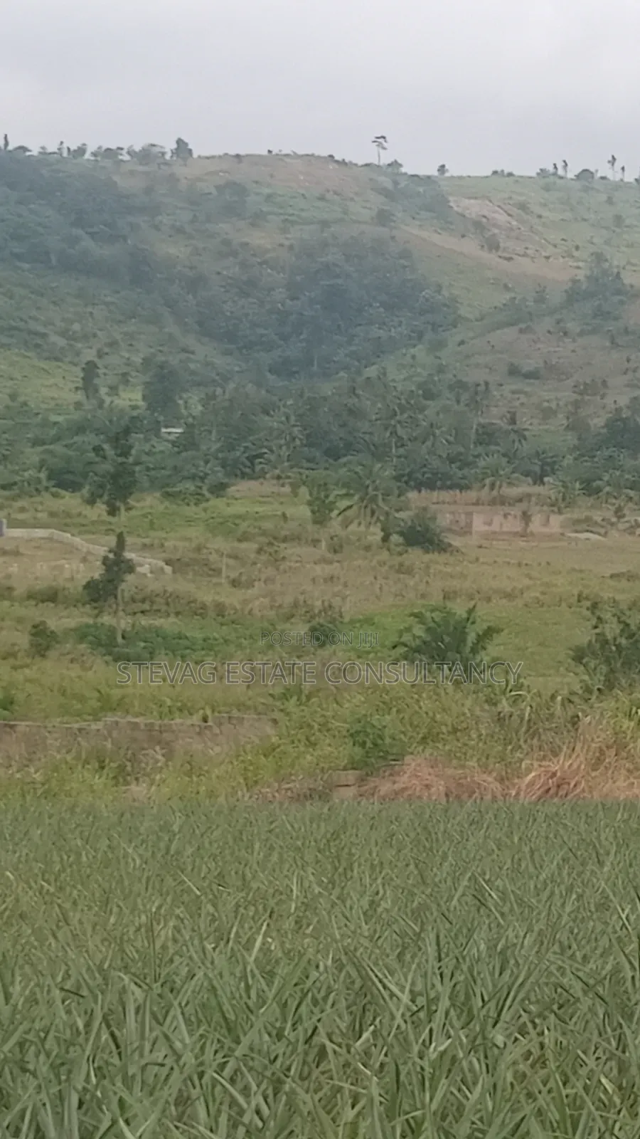 Alpha Properties Estate Land for Sale at Amasaman ASHIFLA in Ga South Municipal