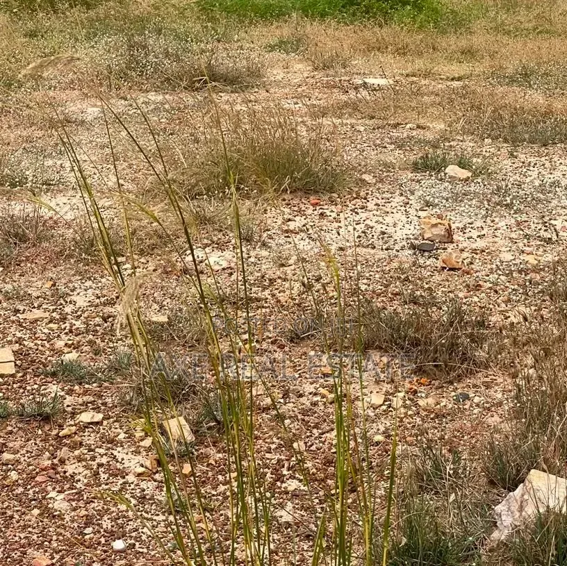 Legit Standard Sized Plots - New Ningo Prampram in Prampram